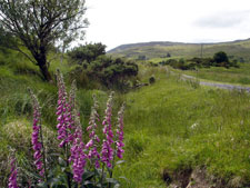 Ireland-Donegal-Hiking - Donegal Way